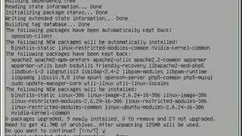 Install Ubuntu Server in VMWare Server Part 3
