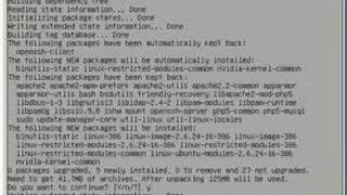 Install Ubuntu Server in VMWare Server Part 3