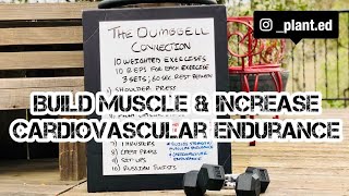 DUMBBELL CONNECTION WORKOUT by plantED 1,137 views 3 years ago 9 minutes, 5 seconds