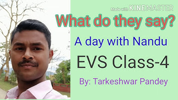 A day with Nandu (What do they say?) EVS Class-4 |NCERT| By: Tarkeshwar Pandey
