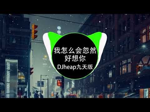 于洋 - 我怎么会忽然好想你 (DJheap九天版)