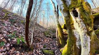 0 Clay Road- Left Hand, WV