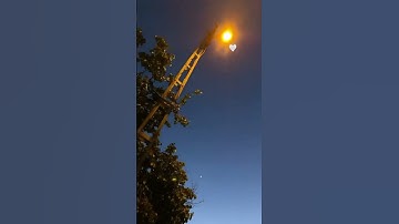 (وَمَا أَدْرَاكَ مَا يَوْمُ الدِّينِ. ثُمَّ مَا أَدْرَاكَ مَا يَوْمُ الدِّينِ) القارئ : هزاع البلوشي