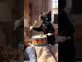 Sleepy Cat vs Lazy Owner | Cutest Wake-Up Mission Ever! #vecna #viralvideo