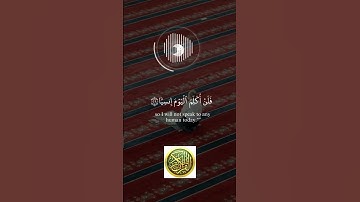 قرآن كريم تلاوات قرانيه خاشعة #لايك #اكسبلور #تيك_توك