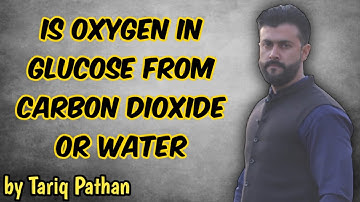 Chapter Bioenergetics- Is Oxygen in Glucose from Carbon dioxide or Water ? Tariq Pathan