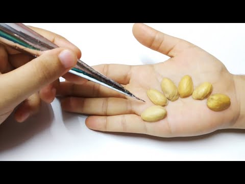 New easy mehndi design trick with pista shells |mehndi trick with pistachio |mehndi design|eid 2020