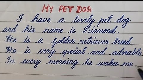short essay about my pet dog | cursive handwriting| English| pet animal|