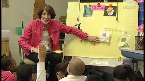 The Project M² : Mentoring Young Mathematicians - Overview