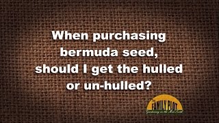 Q&A – Should I buy hulled or un-hulled Bermuda grass seed?