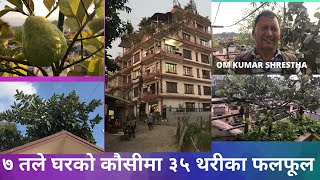 ७ तले घरको कौसीमा ३५ थरीका फलफूल- Om Kumar Shrestha || Jorpati, Kathmandu