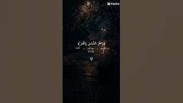 قرأن #كريم #سورة #الزمر #اكتب شي تؤجر علية.