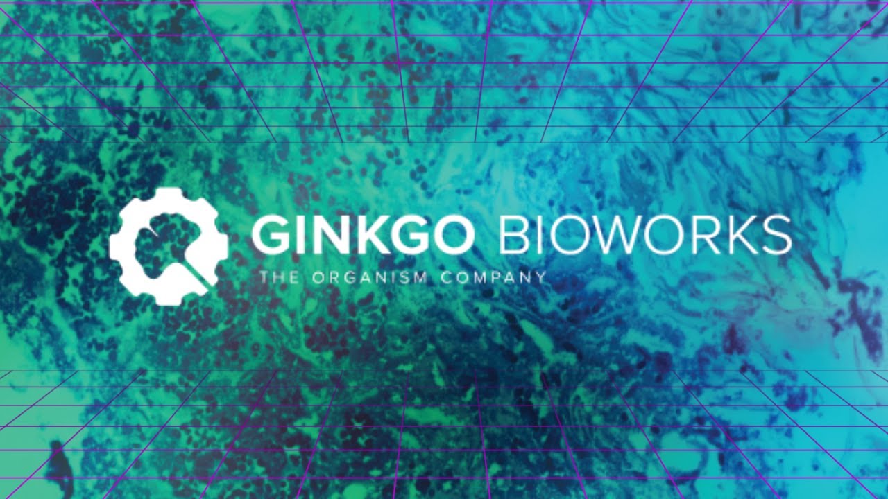DNA Ginkgo Bioworks Is A Solid Bet on Synthetic Biology YouTube