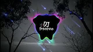 ABCDEFU x STEREO LOVE x BANG BANG - (ft.DJ Desa) (Live Mix)