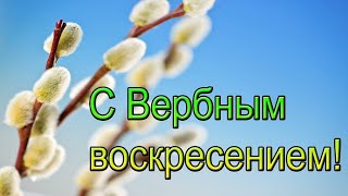 С Вербным Воскресеньем !  2024