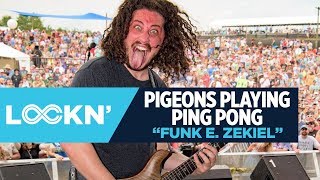 Pigeons Playing Ping Pong - "Funk E. Zekiel" | LOCKN' 2017 | Relix chords