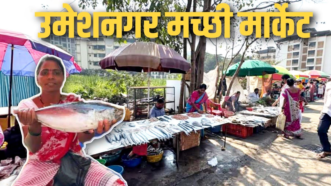 डोंबिवली फिश  मार्केट -उमेश नगर|Umesh Nagar Fish Market Dombivali West|Fish Market Dombivali 