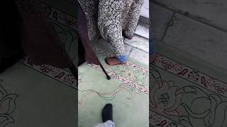 جوراب شیشهای پای زن ایرانی Iranian Womans Nylon Socks