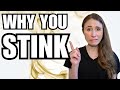 5 Reasons Why You Stink And HOW TO SMELL BETTER 5 Reasons Why You Stink And HOW TO SMELL BETTER