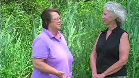 Hudson Valley Art Speak: Lonna Kelly interviews Ci...