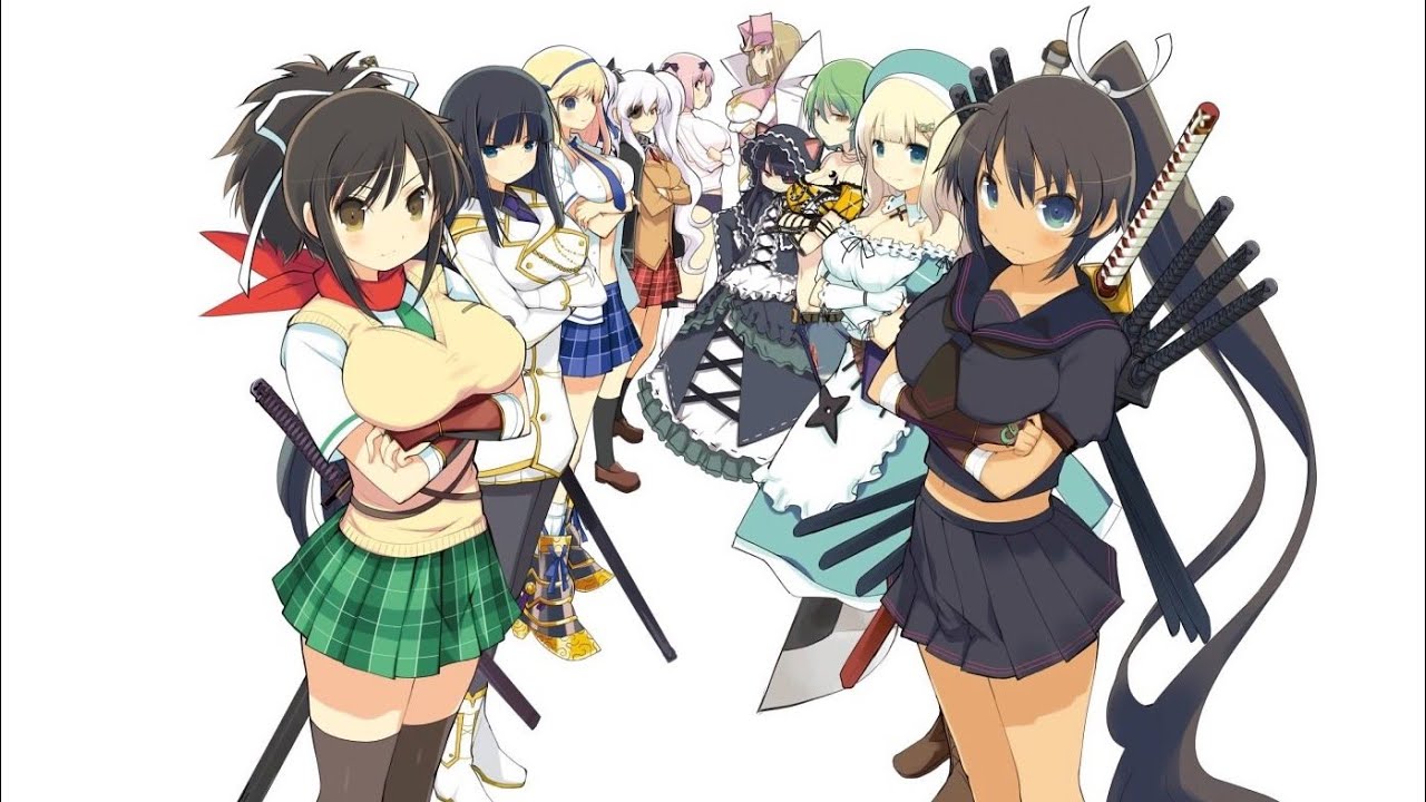 Happy 13th Anniversary Senran Kagura / 閃乱カグラ Video Game