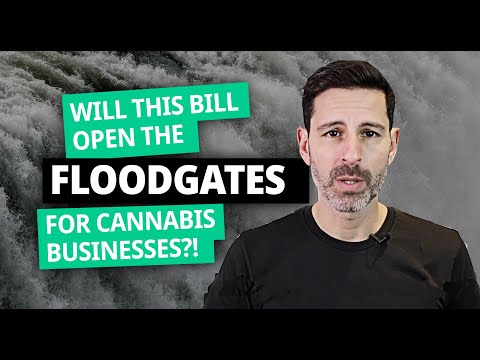will-this-bill-open-the-floodgates-for-cannabis-businesses?!