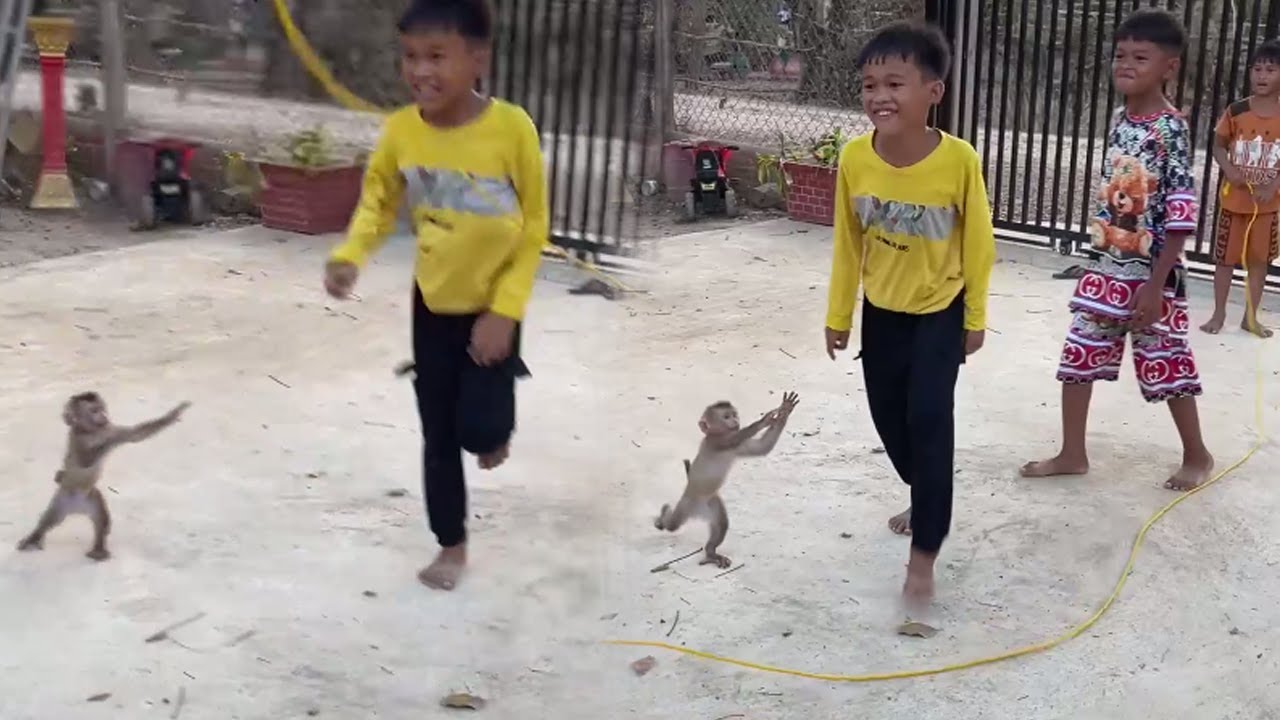 Jess Suggest Brother Jump Rope, Baby Monkey Funny Time - YouTube