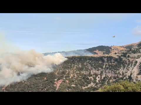 ΦΩΤΙΑ ΣΤΟ ΠΑΝΑΧΑΪΚΟ: ΡΊΨΕΙΣ ΤΩΝ ΕΝΑΕΡΙΩΝ ΜΕΣΩΝ ΣΤΟ ΜΕΤΩΠΟ