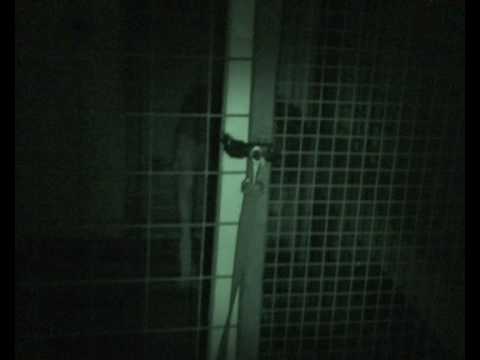 Nitranight - YouTube