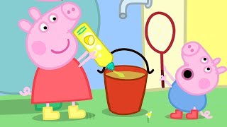 Peppa Pig in Hindi - Camping - हिंदी Kahaniya - Hindi Cartoons for Kids