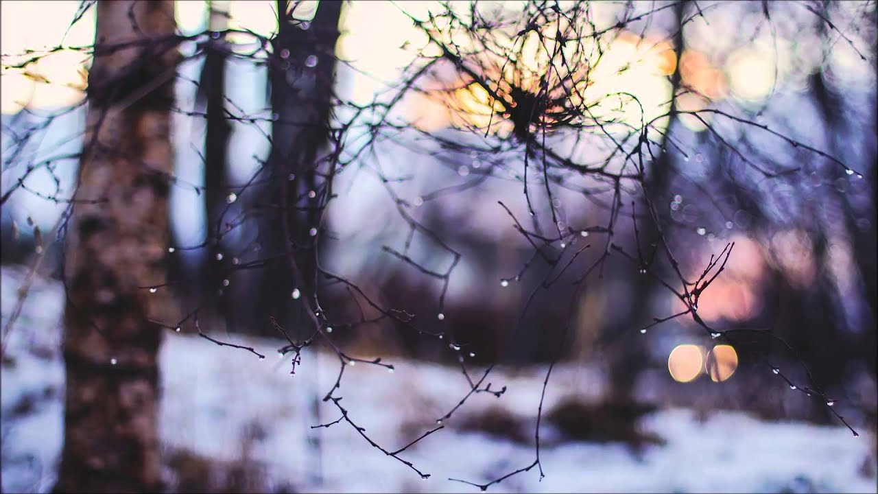 YouTube에서 Dream Curtain - Death 보기 YouTube에서 Dream Curtain - Death 보기