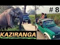 EP 8 Kaziranga National Park Jeep  safari |  Folk dance at Orchid park