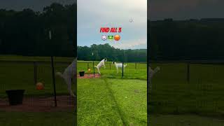 Spot All 3 Hidden Emojis Challenge