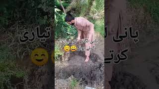 پانی لگانے کی تیاری کرتے ہوئے ?. #water #shorts #shortvideo #cotton #summervibes