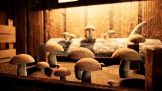 Mushroom Garden Showcase screenshot 4