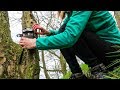 Trail Cameras | Exciting Woodland Wildlife Footage