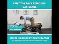 #backexercises #nomorebackpain