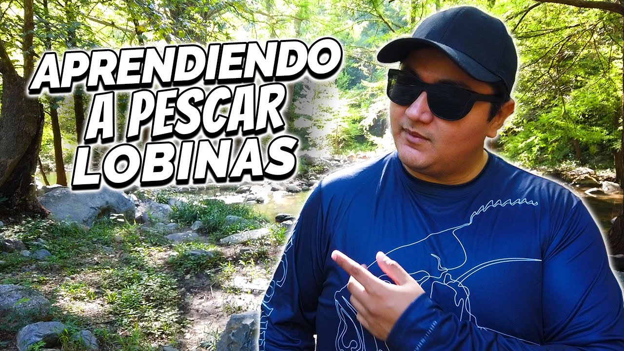 Aprendiendo a Pescar Lobina Guía Para Pescar Lobina YouTube