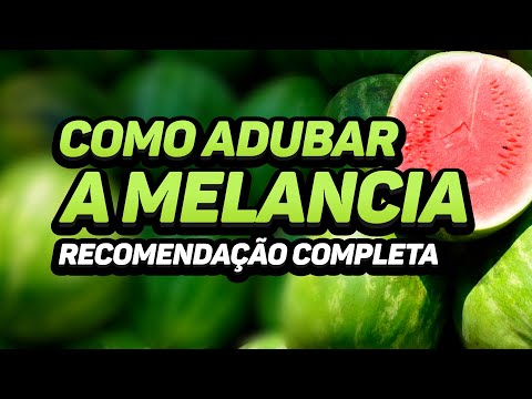 Vídeo: A Composição Química Completa Da Melancia