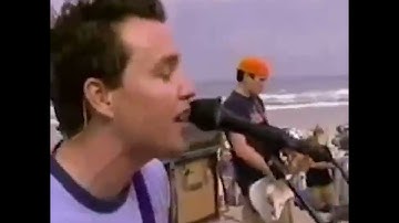 Blink-182 "What