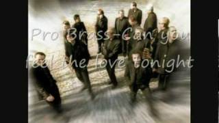 Video thumbnail of "Pro Brass- Can you feel the love tonight"