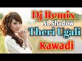 Theri ugali hindi song dj remix kawadi dj dinesh sl shadow