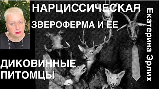 НАРЦИССИЧЕСКАЯ ЗВЕРОФЕРМА И ЕЕ ДИКОВИННЫЕ ПИТОМЦЫ. Психолог Екатерина Эрлих.