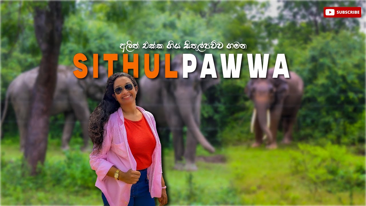 අලිත් එක්ක ගිය සිතුල්පව්ව ගමන | Sithulpawwa Katharagama