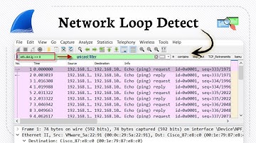 How to detect network loop with Wireshark (Connection Review)