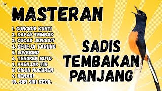 Download Lagu 🔴 GACOR SADIS MENTAL KUAT MASTERAN MURAI BATU GACOR MP3