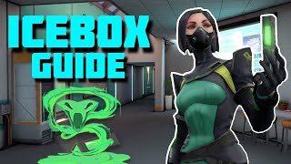 A Site Post Plant Lineup Icebox