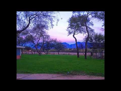 8031 E Tanque Verde Road, Tucson, AZ home video tour