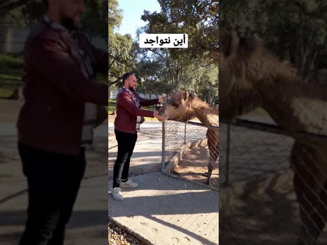 أين نتواجد الآن تحياتي لناس ....