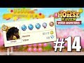 Diamond skills 14  horse haven world adventures lets play